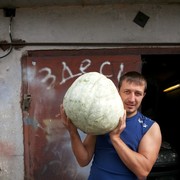 ���������� �����, ���� ������� ������, 43 ����, ������������ ��� ������, ����� � ���������, c�������� ���������