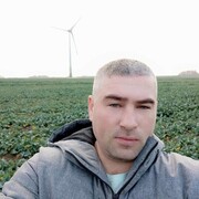 ���������� �����������, ���� ������� ���������, 38 ���, ������������ ��� ���������