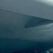 ���������� �����, ���� ������� �������, 29 ���, ������������ ��� ������, ����� � ���������