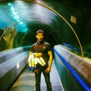 ���������� ������, ���� ������� �������, 36 ���, ������������ ��� ������