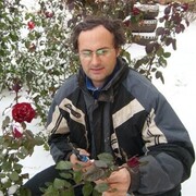 ���������� ����, ���� ������� �����, 49 ���, ������������ ��� ������, ����� � ���������