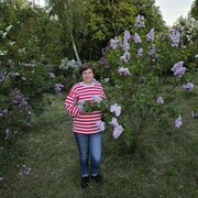  -,   Kosto, 35 ,   ,   