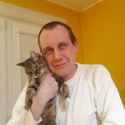 ���������� ����, ���� ������� �������, 45 ���, ������������ ��� ������, ����� � ���������