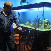  ,   , 38 ,     , c 