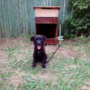 ���������� ������, ���� ������� ����, 44 ����, ������������ ��� ������, ����� � ���������, c�������� ���������, ���������