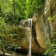 ���������� �����������, ���� ������� ������, 41 ���, ������������ ��� ������, ����� � ���������, c�������� ���������