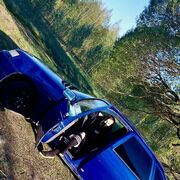 ���������� �����-���������, ���� ������� ������, 25 ���, ������������ ��� ���������