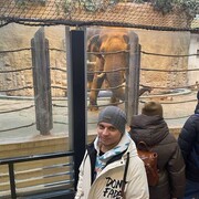 ���������� ����, ���� ������� Sofnick, 38 ���, ������������ ��� ����� � ���������, c�������� ���������