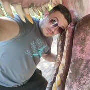  ,   , 43 ,     , c 