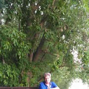 ���������� ���������, ���� ������� �����, 61 ���, ������������ ��� ������, ����� � ���������, c�������� ���������