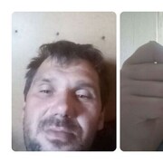  -,   , 44 ,   ,   