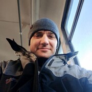 ���������� �����, ���� ������� �����, 37 ���, ������������ ��� ������, ����� � ���������, c�������� ���������