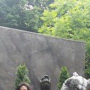 ���������� ����, ���� ������� �������, 31 ���, ������������ ��� ������, ����� � ���������, c�������� ���������