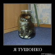 ���������� ��������, ���� ������� ����, 47 ���, ������������ 