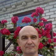  ,  , 54