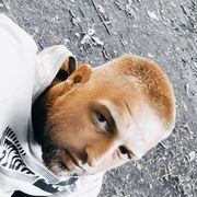 ���������� ������, ���� ������� �����, 33 ����, ������������ ��� ������, ����� � ���������, c�������� ���������, ���������