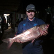 ���������� ������ ���, ���� ������� ����, 44 ����, ������������ ��� ������