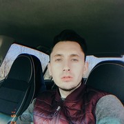  ,   Kot, 36 ,   