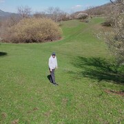   ,   , 43 ,   ,   , c , 
