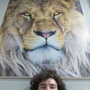 ���������� �����������, ���� ������� ���������, 30 ���, ������������ ��� ����� � ���������, c�������� ���������