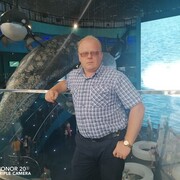  -,   , 44 ,   ,   