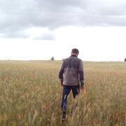 ���������� �����-���������, ���� ������� ����������, 44 ����, ������������ ��� ������, ����� � ���������, c�������� ���������