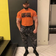 ���������� ������, ���� ������� ����, 43 ����, ������������ ��� ������, ����� � ���������, ���������