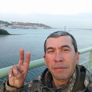  ,   , 41 ,   ,   