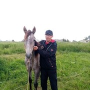 ���������� ������, ������� �������, 43