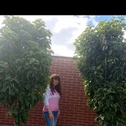  -,   , 31 ,   