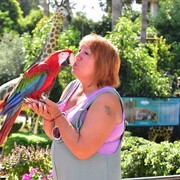 ���������� ������, ���� ������� ����, 56 ���, ������������ ��� ����� � ���������, c�������� ���������