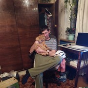 ���������� ������, ���� ������� �������, 50 ���, ������������ ��� ������, ����� � ���������, c�������� ���������