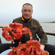  -,   , 48 ,   ,   , c , 