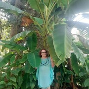 ���������� �����-���������, ���� ������� �������, 70 ���, ������������ ��� ����� � ���������, c�������� ���������