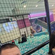  ,   , 41 ,   ,   