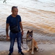  ,   , 53 ,   