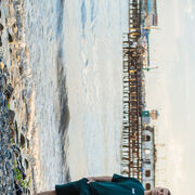 ���������� ������, ���� ������� �������, 31 ���, ������������ ��� ����� � ���������, c�������� ���������