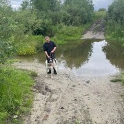 ���������� ������� ������, ���� ������� �������, 29 ���, ������������ ��� ������, ����� � ���������, c�������� ���������