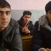  ,   Art, 29 ,   