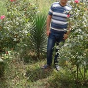  ,   CEMIL, 36 ,   ,   , c 