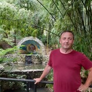   ,   , 53 ,     , c , 