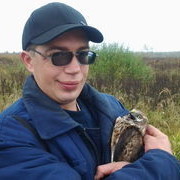 ���������� ������, ���� ������� ��������, 49 ���, ������������ ��� ������, ����� � ���������, c�������� ���������