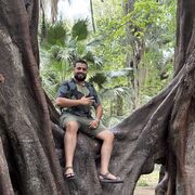  ,   Alikr, 36 ,   ,   