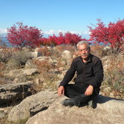  -,   Alhan111, 62 ,  