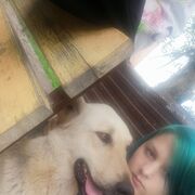  ,   , 21 ,   ,   , c , 