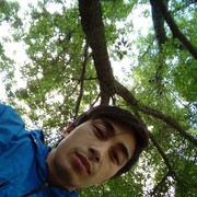  ,   , 31 ,  
