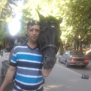   ,   , 51 ,   ,   , c 