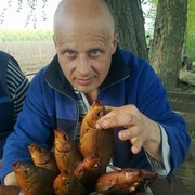  ,  , 55