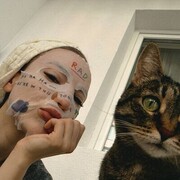 ���������� ������, ����