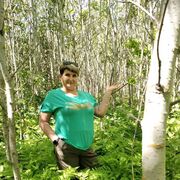 ���������� �������, ���� ������� �����, 54 ����, ������������ ��� ������, ����� � ���������, c�������� ���������